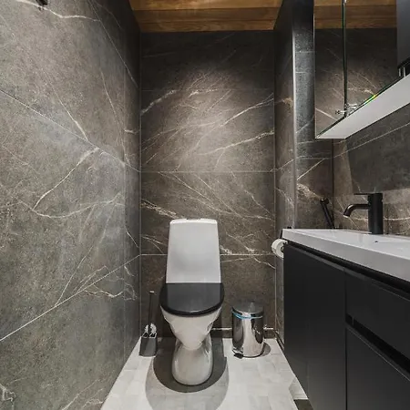 In Lapland - Sointuilevi Exclusive A60 Levi